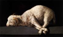 Passover Lamb