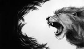 Lion roaring, illustration for book about Aslan